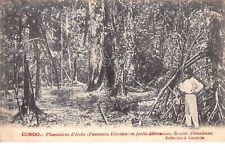 Usado, Congo Français - n°61540 - Plantations d'Irechs (Funtumia Elastica) en forê segunda mano  Embacar hacia Argentina
