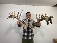 309 set whitetail for sale  Delphos