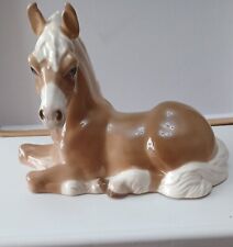 Gorgeous szeiler horse for sale  COLCHESTER
