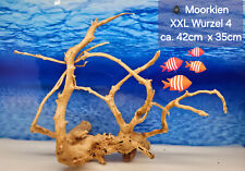 Moorwurzel spiderwood xxl gebraucht kaufen  Ulm