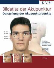 Bildatlas akupunktur darstellu gebraucht kaufen  Stuttgart