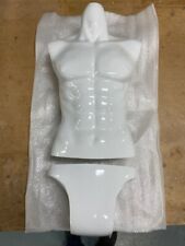 Mannequin torso male for sale  Franklin