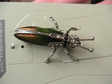 Attractive beetle insect for sale  BOLTON