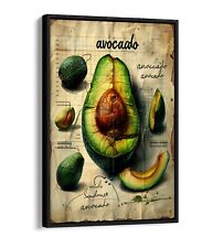 Avocado botanical illustration for sale  LONDONDERRY