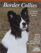 Border collies for sale  Roswell