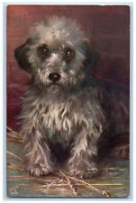 Postcard Dandie Dinmont Terrier Dog c1910 Unposted Antique Oilette Tuck Dogs for sale  Shipping to South Africa