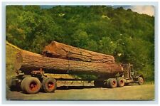 Postcard log truck for sale  Florence