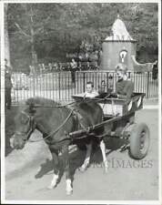 1960 Foto de prensa Shirley Jones y su hijo Shaun montar en pony carro en zoológico - kfx60412 segunda mano  Embacar hacia Argentina