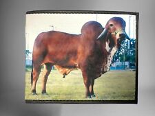 Zebu bull printed for sale  Arcadia