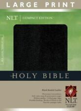 Bíblia edição compacta NLT, impressão grande por, brochura comprar usado  Enviando para Brazil