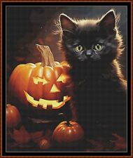 Halloween kitty noir d'occasion  France