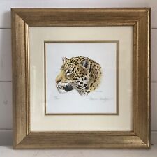 Stephen gayford jaguar for sale  HEREFORD