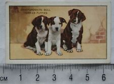 1936 gallaher dogs for sale  STOKE-ON-TRENT