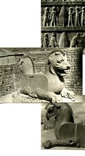 Persepolis ancient sculpture for sale  Surprise