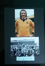 Wolverhampton wanderers player for sale  SUTTON COLDFIELD