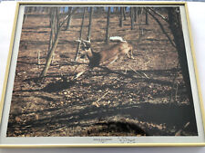 Signed white tail for sale  Blakeslee