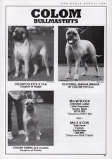 Bullmastiff dog breed for sale  COLEFORD