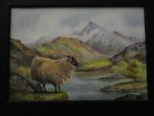 Herdwick sheep landscape for sale  HASTINGS