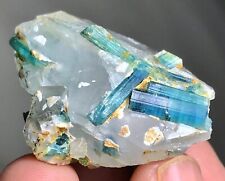 Muestra de cristal de turmalina Indicolite de Afganistán 145 quilates (F) 2 segunda mano  Embacar hacia Argentina