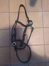 Shetland section bridle for sale  LAMPETER