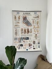 Poster vintage atlante usato  Parma