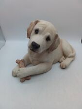 Sandicast lab puppy for sale  RUGBY