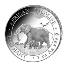 Silbermünze african wildlife gebraucht kaufen  Bronnzell