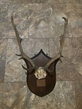 Deer antlers moose for sale  NOTTINGHAM
