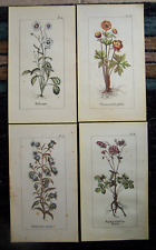 Gravures anciennes lot d'occasion  Poix-du-Nord