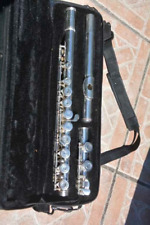 Master student flute usato  Toscolano Maderno