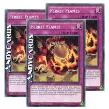 Ferret flames comune usato  Ravenna