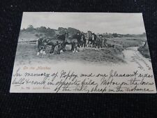 Aldeburgh marshes postcard for sale  ANSTRUTHER