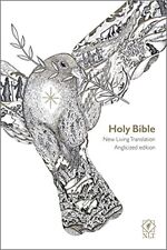 Nlt holy bible for sale  UK