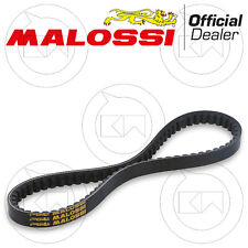 Malossi 617223 cinghia usato  Italia