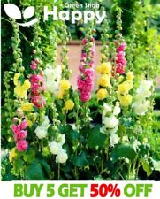 Hollyhock summer carnival for sale  DONCASTER