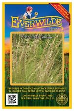 1000 Side Oats Grama Native Grass Seeds - Everwilde Farms Mylar Seed Packet, usado segunda mano  Embacar hacia Argentina