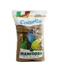 Manitoba cocorite miscela usato  Pagani