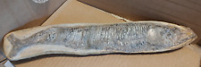 Large fish fossil for sale  Sparrow Bush