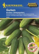 Cucumber excelsior for sale  Shipping to Ireland