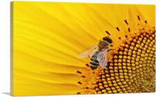 Artcanvas bee sunflower for sale  Niles