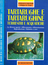 Tartarughe tartarughine terres usato  Italia