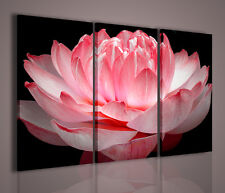 Quadro moderno lotus usato  Italia