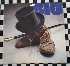 Mr. Big (auto-intitulado) LP por Mr. Big vinil 1989 importação canadense muito bom estado+ 7819901, usado comprar usado  Enviando para Brazil