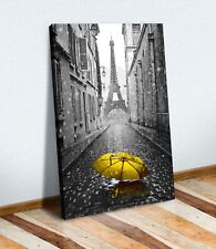 Paris canvas wall for sale  LONDONDERRY