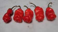 10 sementes vermelhas Peter Pepper Heirloom Very Hot XXX pimenta rara presente engraçado e exclusivo!, usado comprar usado  Enviando para Brazil