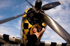 2011 warbird pinup for sale  Rochester