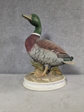 Vintage male mallard for sale  League City