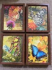 Butterfly painting set for sale  Downingtown