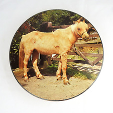 Vintage pony biscuit for sale  Shipping to Ireland