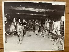 Vintage photo horses for sale  Tallahassee